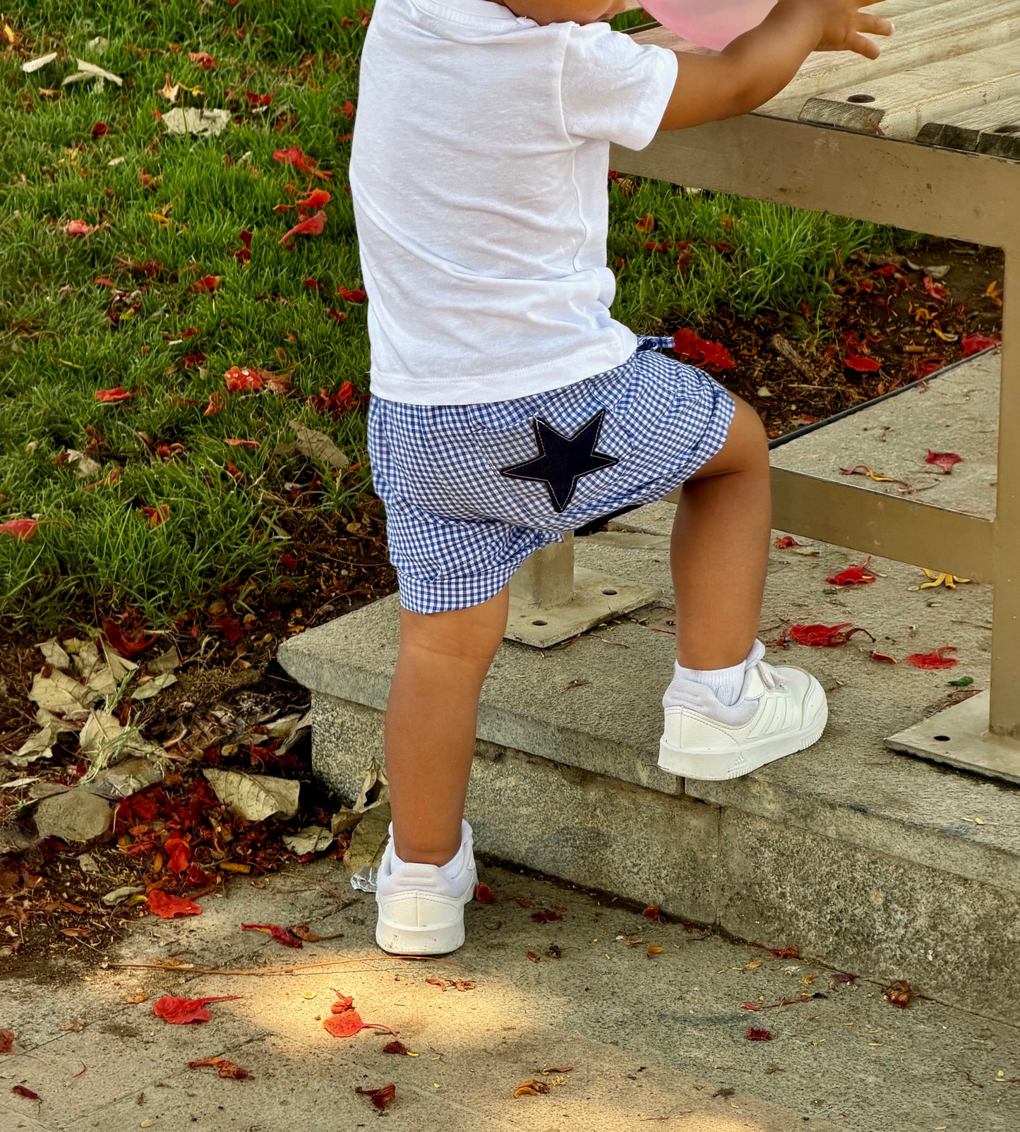 Blueberry Patch Shorts